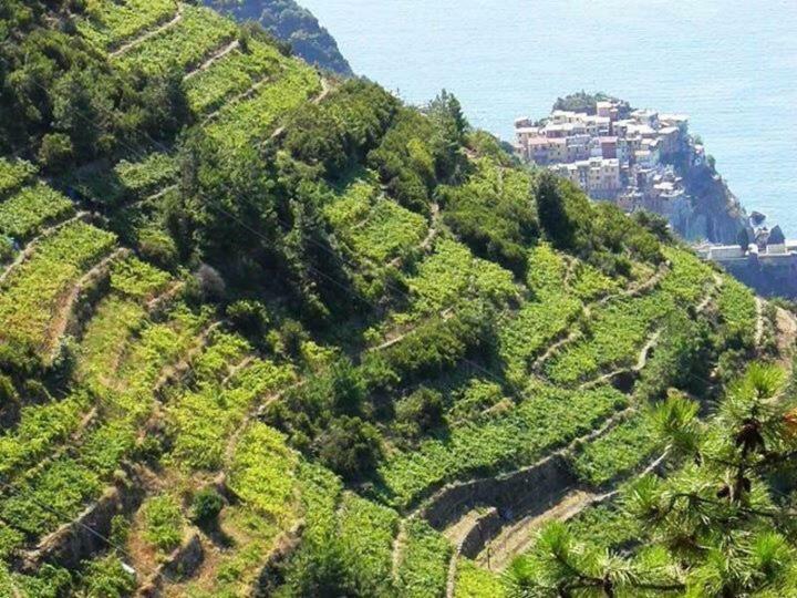 Liguria Home Амелия Экстерьер фото
